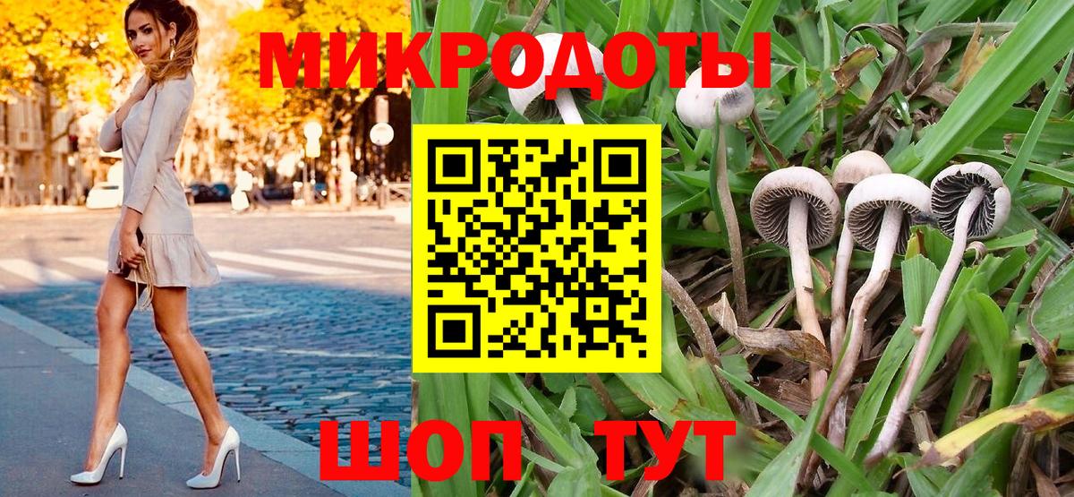 Псилоцибиновые грибы мухоморы Луга